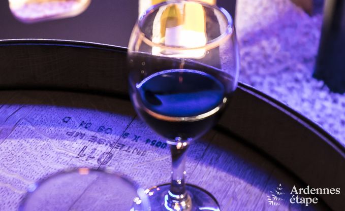 Holiday cottage in Vielsalm for 30 persons in the Ardennes