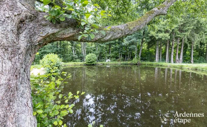 Holiday cottage in Vielsalm for 30 persons in the Ardennes
