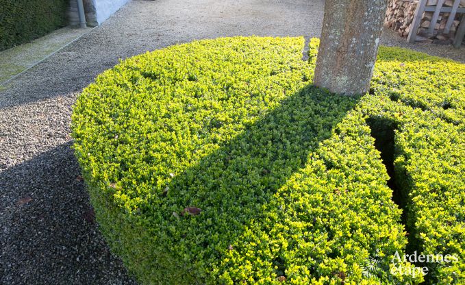 Holiday cottage in Vielsalm for 9 persons in the Ardennes