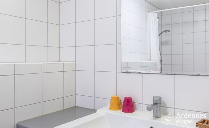 Spacious holiday home in Vielsalm for 22 people with 10 bedrooms, playroom, sauna and large garden