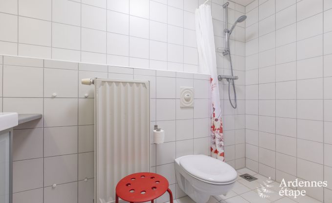 Spacious holiday home in Vielsalm for 22 people with 10 bedrooms, playroom, sauna and large garden