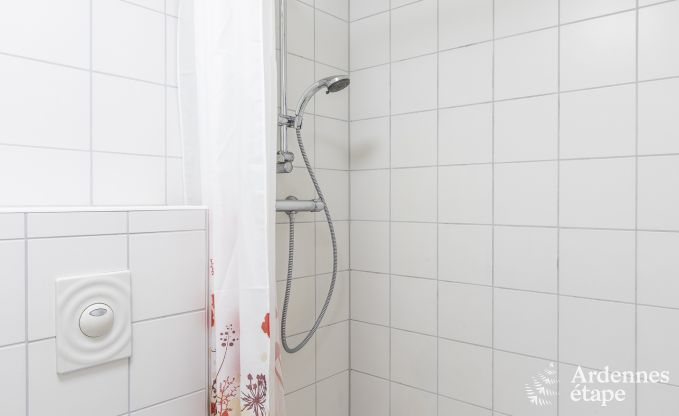 Spacious holiday home in Vielsalm for 22 people with 10 bedrooms, playroom, sauna and large garden