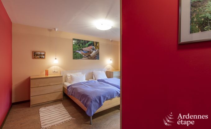 Spacious holiday home in Vielsalm for 22 people with 10 bedrooms, playroom, sauna and large garden