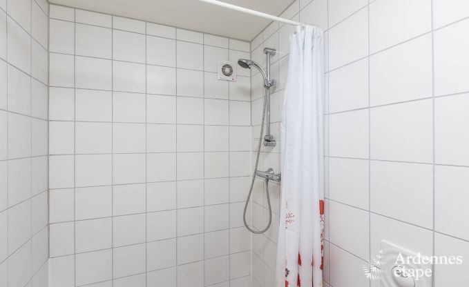 Spacious holiday home in Vielsalm for 22 people with 10 bedrooms, playroom, sauna and large garden