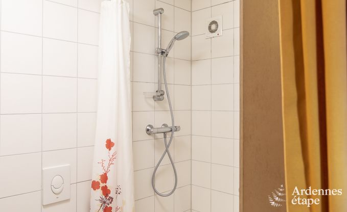 Spacious holiday home in Vielsalm for 22 people with 10 bedrooms, playroom, sauna and large garden