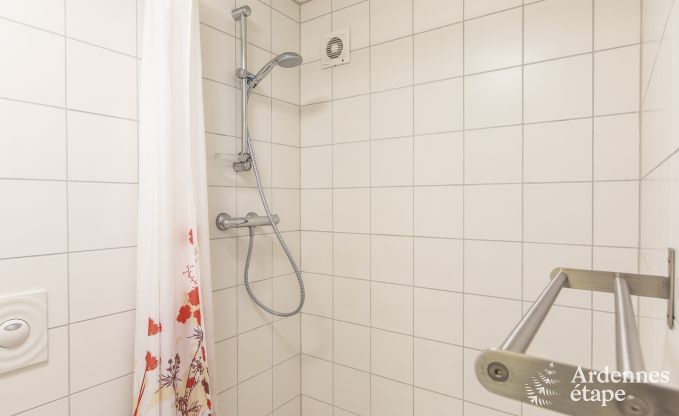 Spacious holiday home in Vielsalm for 22 people with 10 bedrooms, playroom, sauna and large garden