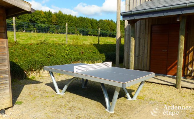 Spacious holiday home in Vielsalm for 22 people with 10 bedrooms, playroom, sauna and large garden