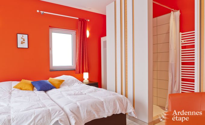 Luxury villa in Vielsalm for 17/18 persons in the Ardennes