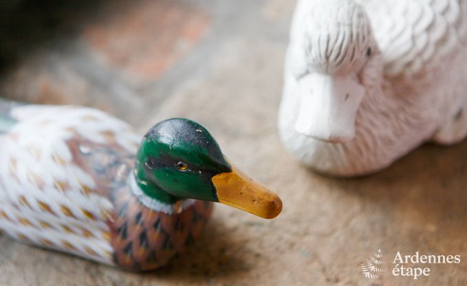 Apartment in Vielsalm for 2 persons in the Ardennes