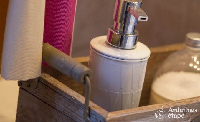 Chalet in Vielsalm for 4/5 persons in the Ardennes