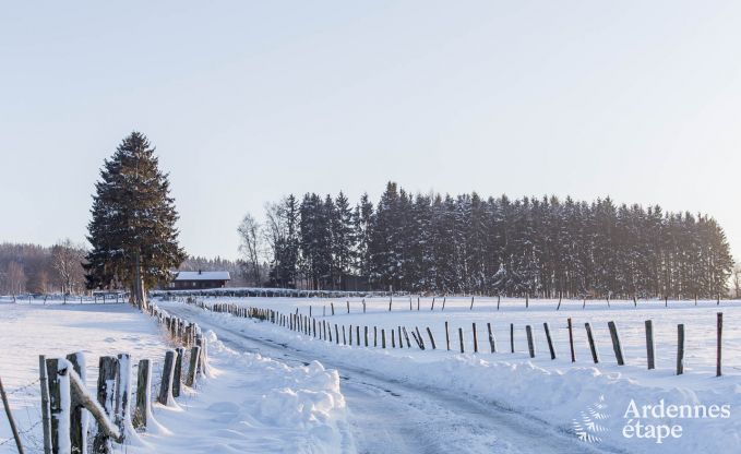 Chalet in Vielsalm for 4/5 persons in the Ardennes
