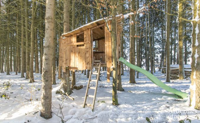 Chalet in Vielsalm for 4/5 persons in the Ardennes