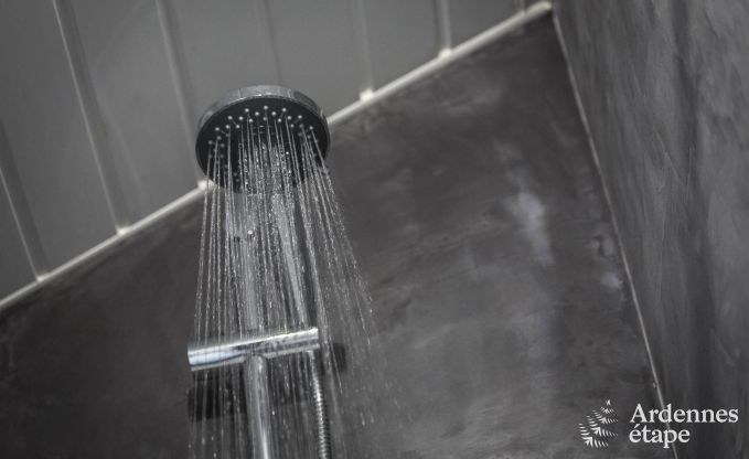 Holiday cottage in Vielsalm for 2 persons in the Ardennes