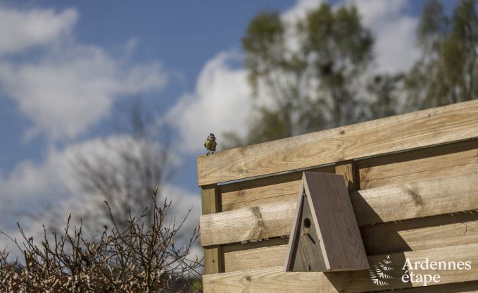 Holiday cottage in Vielsalm for 2 persons in the Ardennes