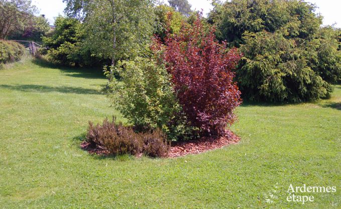 Large holiday home near Vielsalm for 21 people with 7 bedrooms, 4 bathrooms, playroom and private garden