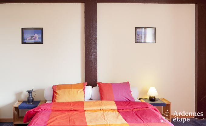 Large holiday home near Vielsalm for 21 people with 7 bedrooms, 4 bathrooms, playroom and private garden