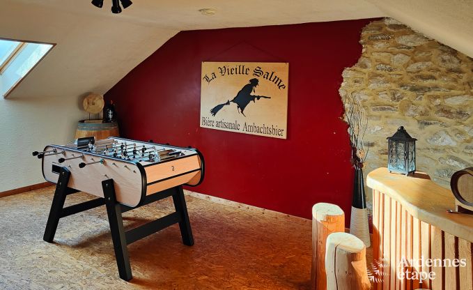 Large holiday home near Vielsalm for 21 people with 7 bedrooms, 4 bathrooms, playroom and private garden