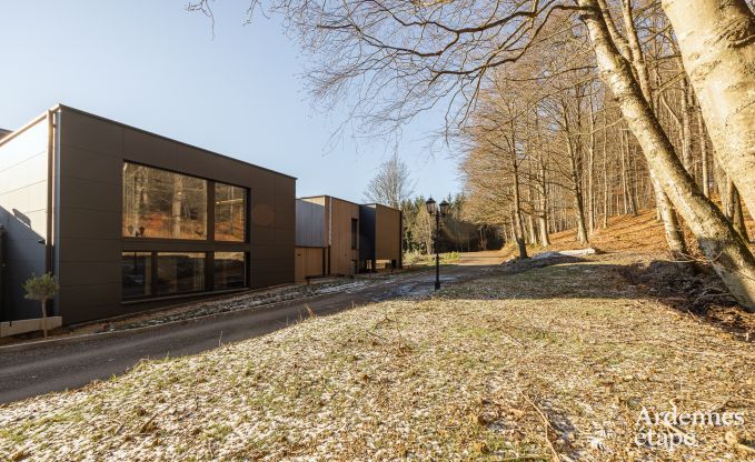 Comfortable and modern holiday home in the forest, Vielsalm - Ardennes