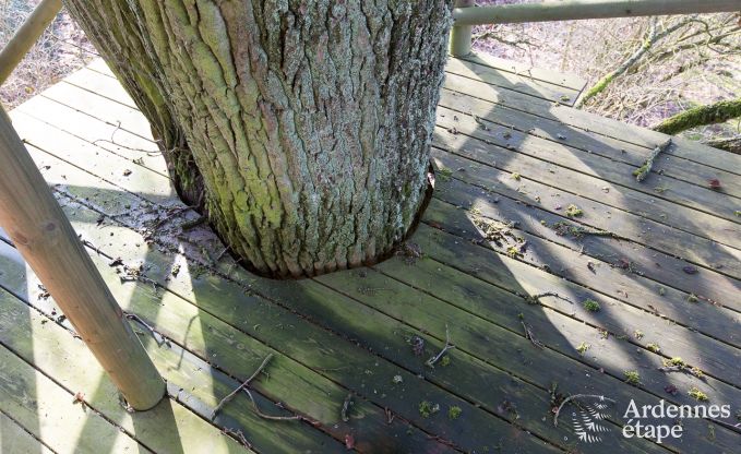 Holiday cottage in Vielsalm for 9 persons in the Ardennes