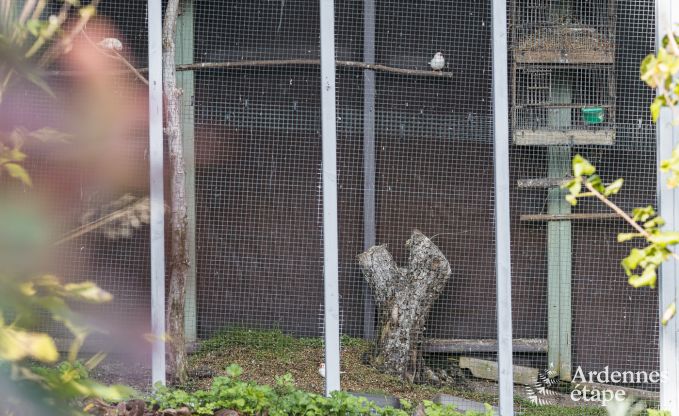 Cozy holiday home with private garden in picturesque Vierves-sur-Viroin for 4 people