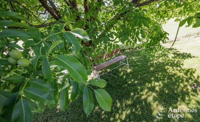 Holiday cottage in Virelles for 6 persons in the Ardennes