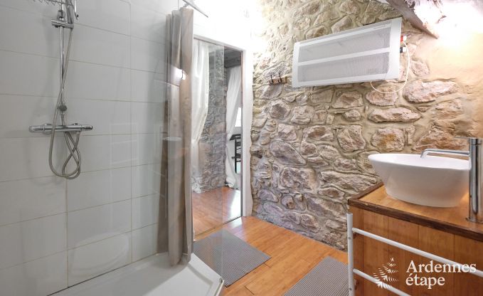 Holiday home in Viroinval: haven of peace for 8 people with sauna and private garden in the Ardennes