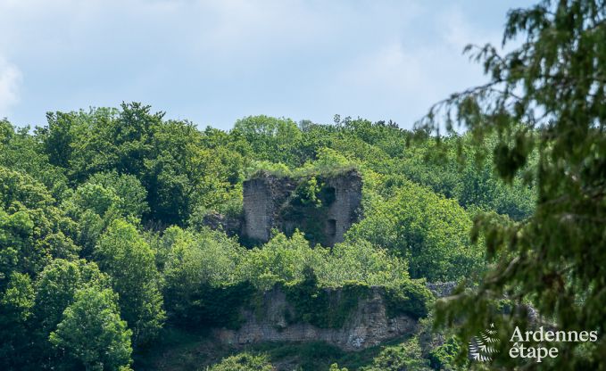 Holiday cottage in Viroinval for 8 persons in the Ardennes