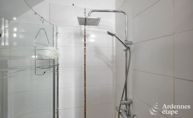 Holiday home in Viroinval: haven of peace for 8 people with sauna and private garden in the Ardennes