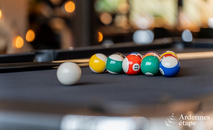 Luxury villa in Vresse-sur-Semois for 14 persons in the Ardennes