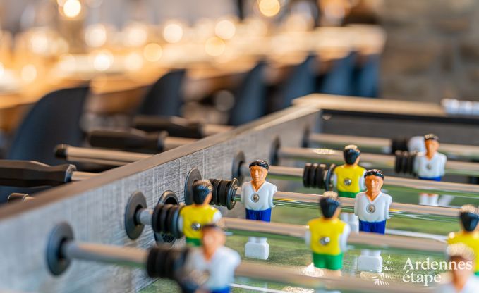 Luxury villa in Vresse-sur-Semois for 14 persons in the Ardennes