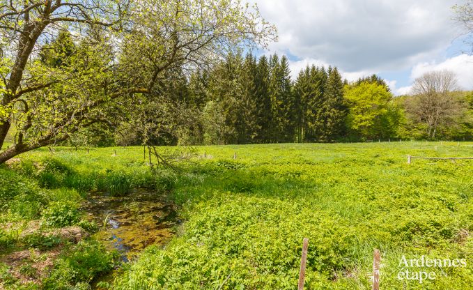 Chalet in Waimes for 4/5 persons in the Ardennes