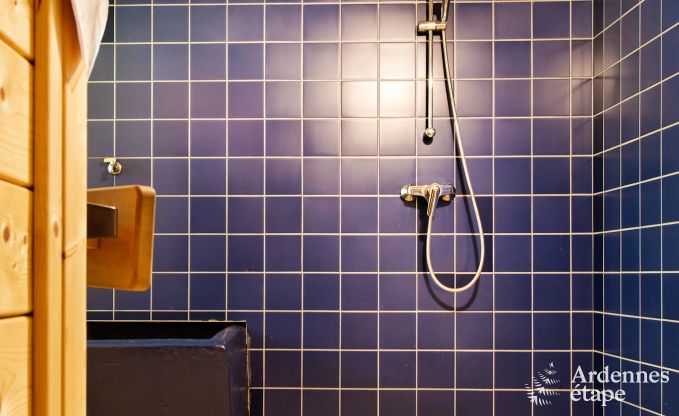 Holiday cottage in Waimes for 22 persons in the Ardennes