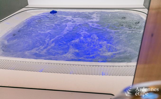 Luxury villa in Waimes for 14 persons in the Ardennes