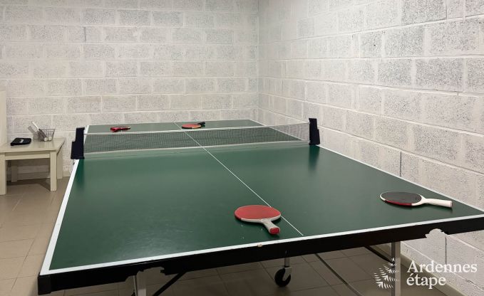 Spacious holiday home with private garden in Waimes for 15 people