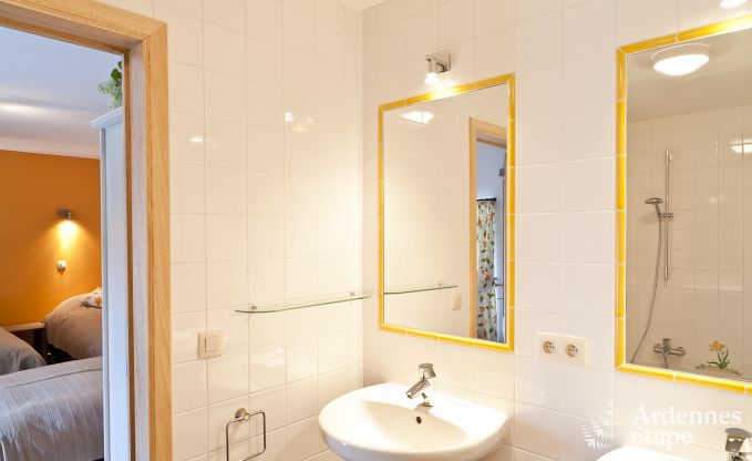 Castle in Waremme for 10/11 persons in the Ardennes