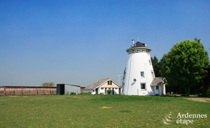 Exceptional in Waremme for 4 persons in the Ardennes