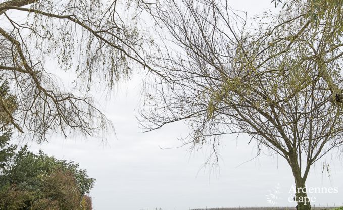 Exceptional in Waremme for 4 persons in the Ardennes