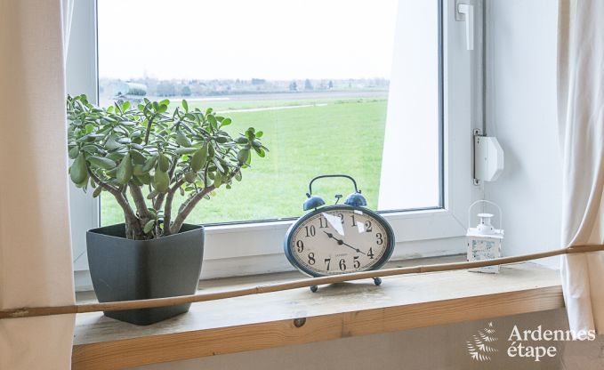 Exceptional in Waremme for 4 persons in the Ardennes