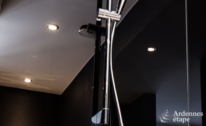 Holiday cottage in Wellin for 18 persons in the Ardennes