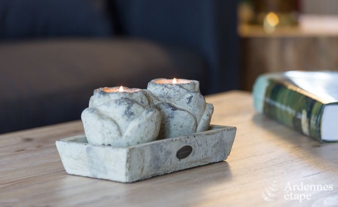 Holiday cottage in Yvoir (Crupet) for 14 persons in the Ardennes