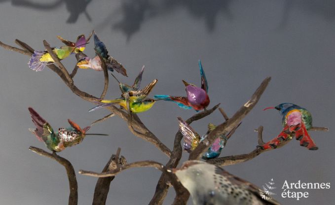 Holiday cottage in Yvoir (Crupet) for 14 persons in the Ardennes