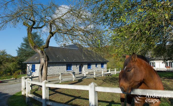 Holiday cottage in Yvoir (Crupet) for 14 persons in the Ardennes