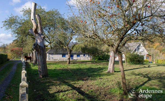 Holiday cottage in Yvoir (Crupet) for 14 persons in the Ardennes