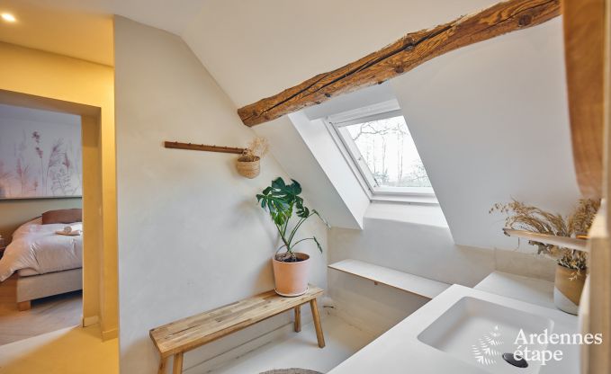 Charming village house for 10 people in Yvoir: hot tub, fireplace, large private garden