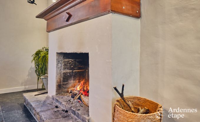 Charming village house for 10 people in Yvoir: hot tub, fireplace, large private garden
