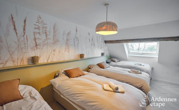 Charming village house for 10 people in Yvoir: hot tub, fireplace, large private garden