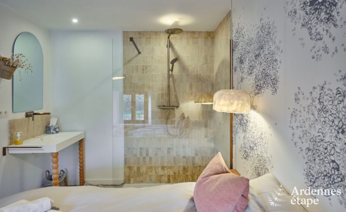 Charming village house for 10 people in Yvoir: hot tub, fireplace, large private garden