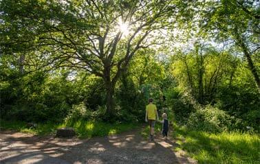                                                             the WE of the 1st of May
                                                    